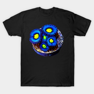 Blue Zoa's T-Shirt